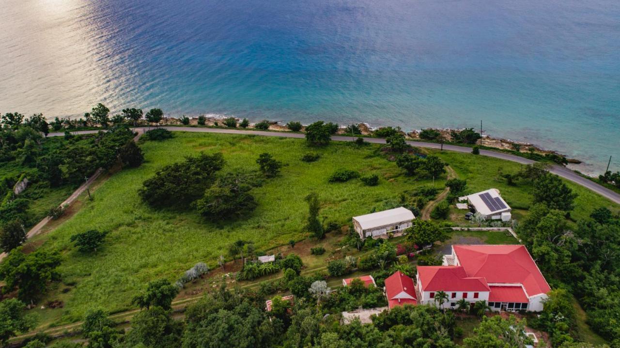 Feather Leaf Inn Frederiksted 외부 사진